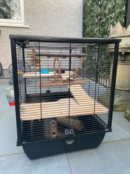 Photo of free Hamster cage (NG10 (Sandiacre)) #2