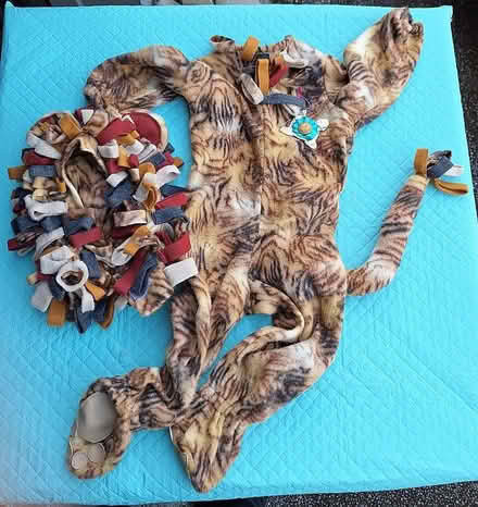 Photo of free Kids lion & tin man costumes (North Greenwood) #1