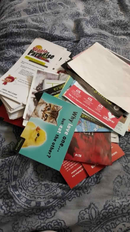 Photo of free A Bundle of AR posters (725 Danforth Road) #1