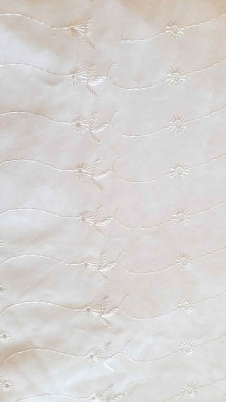Photo of free Cotton eyelet fabric (Adams Morgan) #1