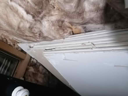 Photo of free Plasterboard (Bramley LS13) #4