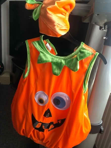 Photo of free Childrenās pumpkin costume (WIbsey) #1