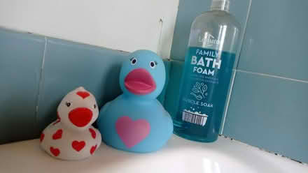 Photo of free Ducks and bubble bath (Skerton LA1) #1
