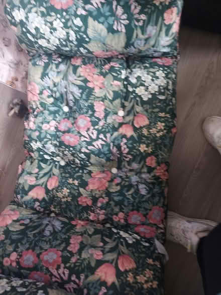Photo of free Sun lounger cushion (BD21 Keighley) #1