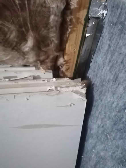 Photo of free Plasterboard (Bramley LS13) #1