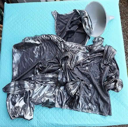 Photo of free Kids lion & tin man costumes (North Greenwood) #2