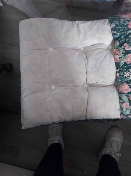 Photo of free Sun lounger cushion (BD21 Keighley) #3
