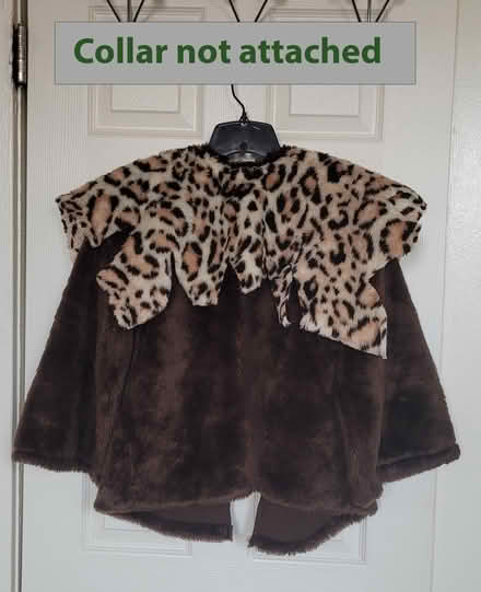 Photo of free Costume - Furry top + collar, tail (Adams Morgan) #1