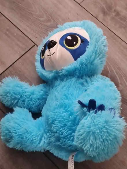 Photo of free Teddy's (Walsall WS3) #4