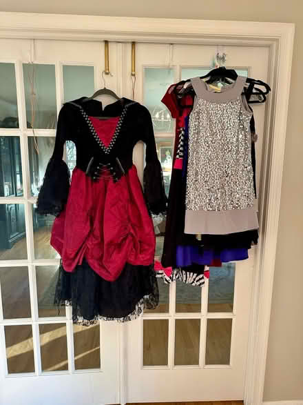 Photo of free Girls dresses and Halloween (Pittstown NJ) #1