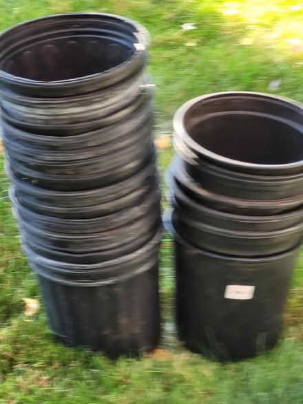 Photo of free Larger Plant Pots (Erin Mills) #1
