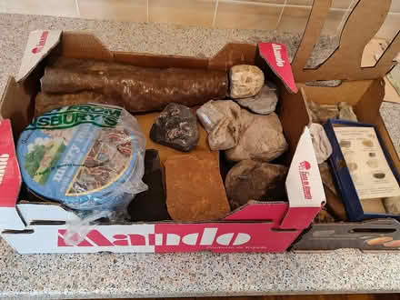 Photo of free Small collection of fossils & rocks (Monkseaton NE25) #1