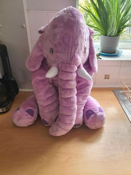 Photo of free Fluffy toy (S2 wybourn) #1