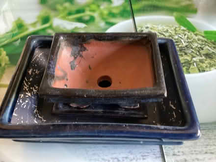 Photo of free 2 bonsai pots blue on a tray (Southport PR9) #1