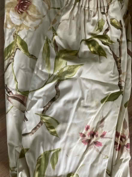 Photo of free Branches and birds curtains (Farcet) #1