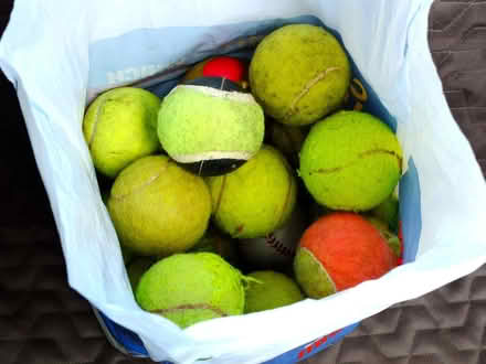 Photo of free Tennis Balls (used) For Dog/s (Old Farm Park MK7) #1
