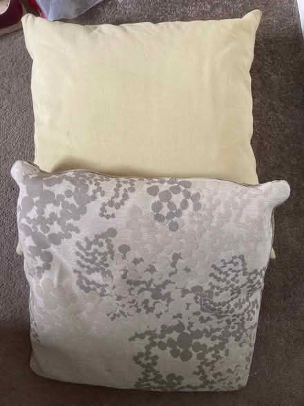Photo of free Two sofa cushions (Farcet) #1