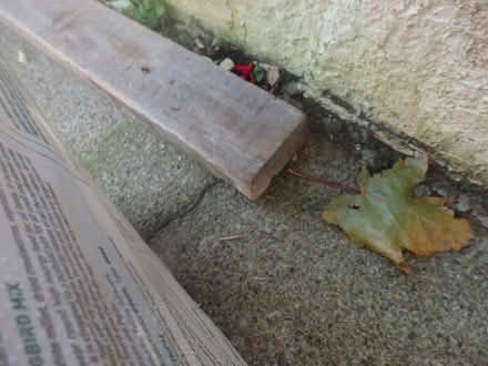 Photo of free More Wood (Willowbrae EH8) #3