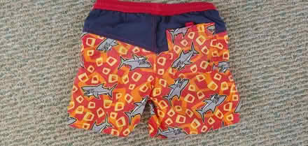 Photo of free Boy Swim Trunk Size 4 (Aston, PA) #2