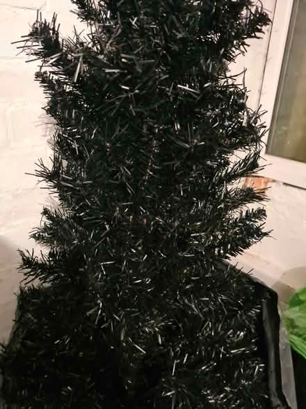 Photo of free Christmas ๐ tree (Abington) #2
