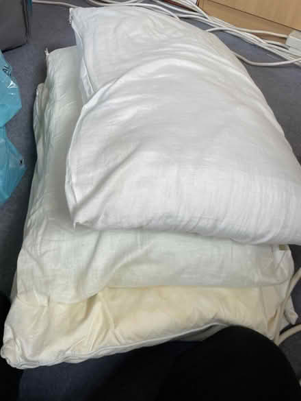 Photo of free 3 pillows (Charvil RG10) #1