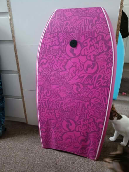 Photo of free 2 Body Boards And Bag (CT11) #4