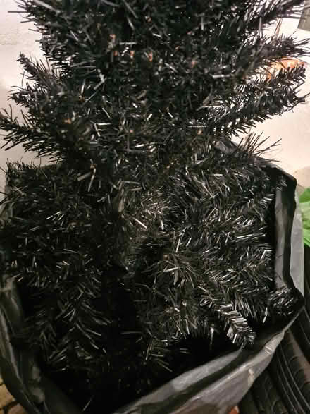 Photo of free Christmas ๐ tree (Abington) #1