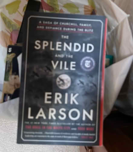 Photo of free Book splendid & vile (Hobson & Greene) #1