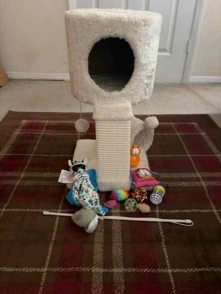 Photo of free 🐈 Cat scratching post play tower & various cat toys. (Morecambe LA4) #1