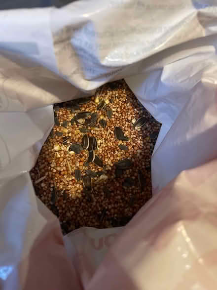 Photo of free bird seed, food, feed (South Fort Collins) #1