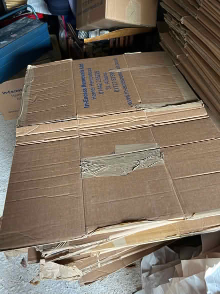 Photo of free Approx 100 cardboard boxes plus paper (Willingdon BN20) #1