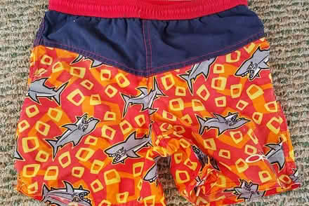 Photo of free Boy Swim Trunk Size 4 (Aston, PA) #1