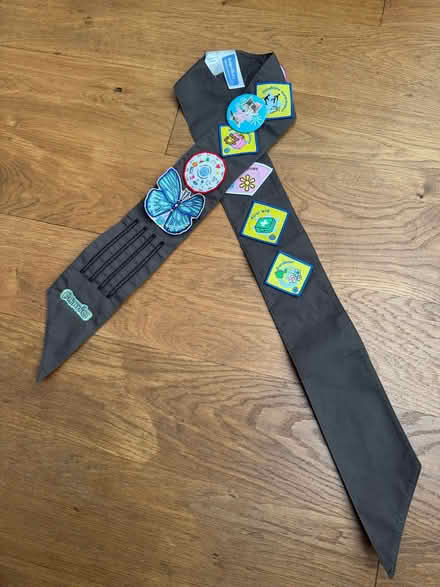 Photo of free Brownie sash with some badges (North Watford WD24) #1
