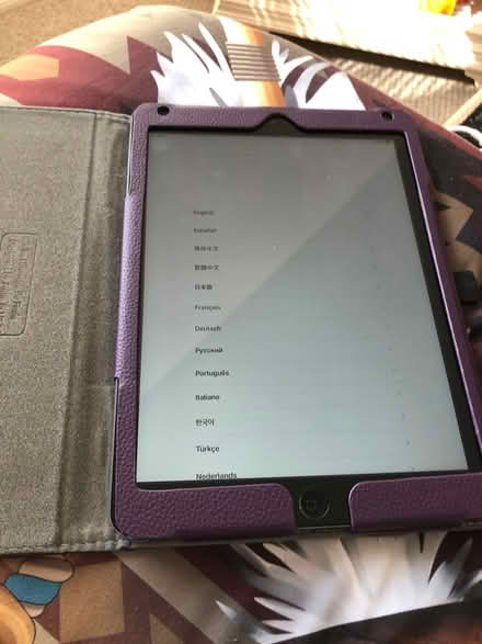Photo of free iPad Air Dinosaur (12th St & IRB, Vero Beach) #1