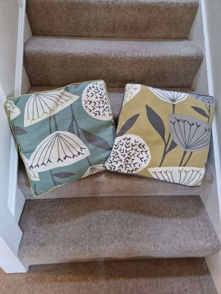 Photo of free 3 cushions with covers (The Cedars Estate WD3) #1