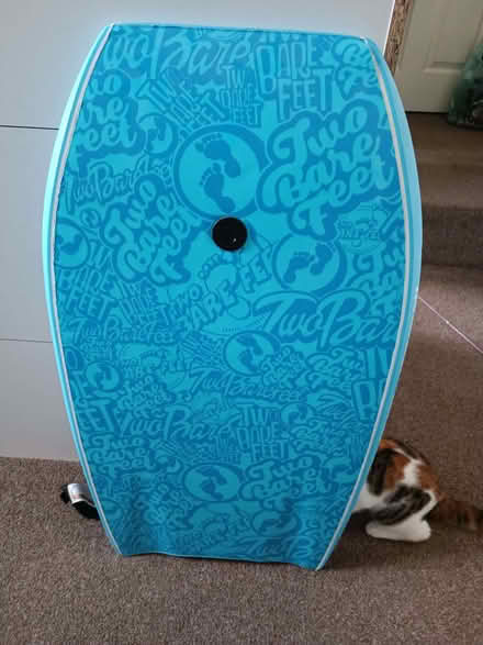 Photo of free 2 Body Boards And Bag (CT11) #2