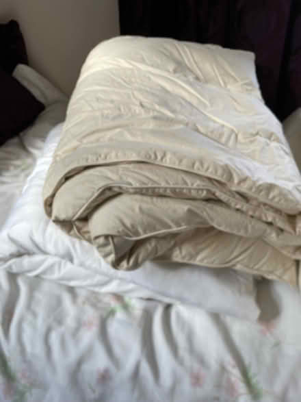 Photo of free 2 single duvets (Charvil RG10) #1