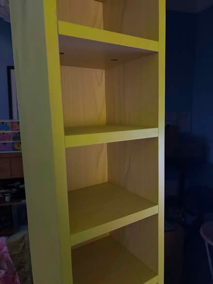 Photo of free Neon tall shelf (SE5) #2
