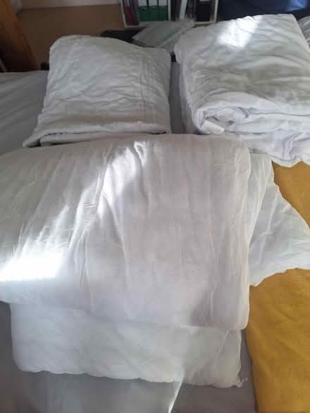 Photo of free Single Duvets (polyester filled) (West Wickham BR4) #1
