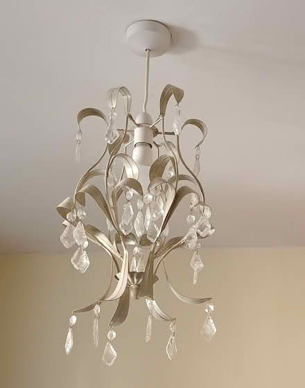 Photo of free Ceiling droplet lampshade (SW6) #1