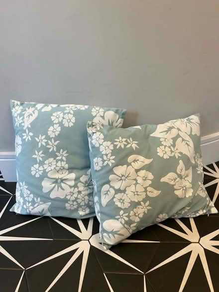 Photo of free 2 scatter cushions (Chiswick W4) #1