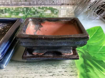 Photo of free 2 bonsai pots blue on a tray (Southport PR9) #3
