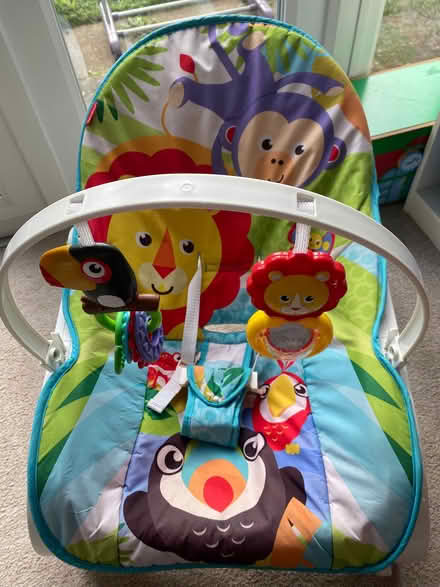 Photo of free Baby chair/rocker (East Peckham TN12) #1