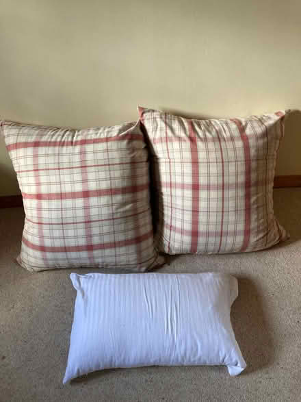 Photo of free Two floor cushions-collection today (Upper castle Combe) #1