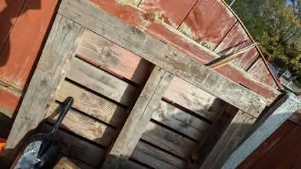 Photo of free Pallets for bonfire? (Stalybridge, SK15) #1