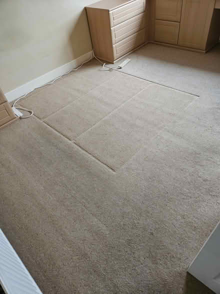 Photo of free Carpet 325cm x 235cm (WF14) #1