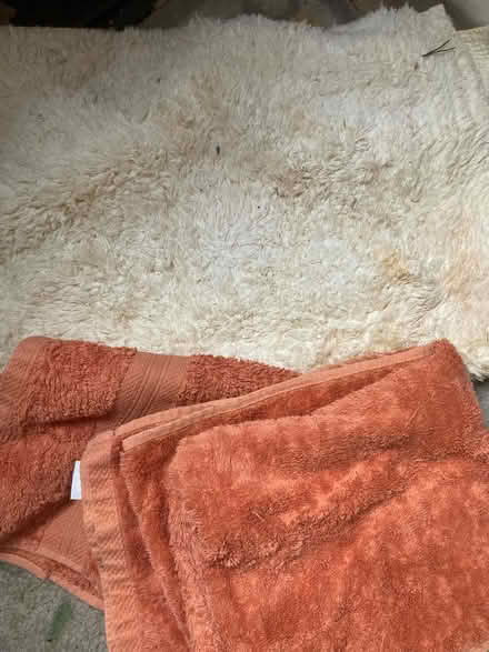 Photo of free Dog bedding (Farcet) #1