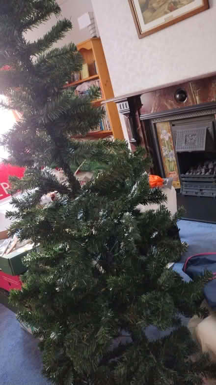 Photo of free Christmas tree with led lights and decorations (Carlisle CA1) #1