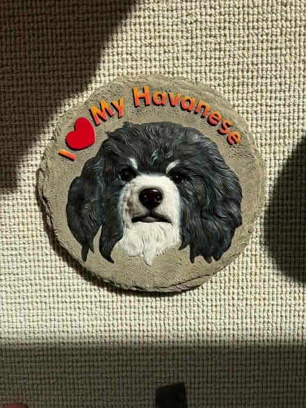 Photo of free Havanese Garden Stone (Upper West Side) #1