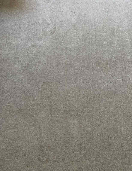 Photo of free used carpet (Furze Platt SL6) #1